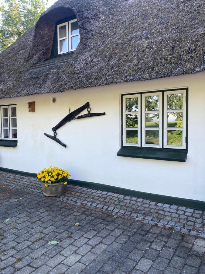 Skovlyset'S B&B Juelsminde  Kültér fotó