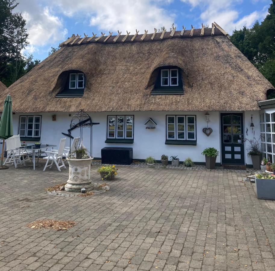 Skovlyset'S B&B Juelsminde  Kültér fotó